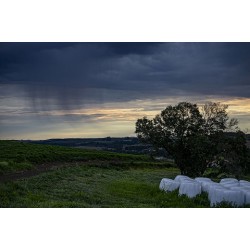 El Niño é confirmado e Simepar prevê aumento de chuvas até dezembro